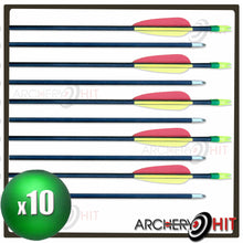 Load image into Gallery viewer, Fibreglass Arrows in a ten pack from Archery Hit

