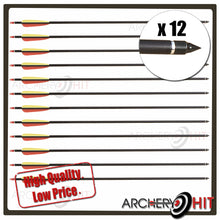 Load image into Gallery viewer, 12 pack of alloy arrows with turning nocks
