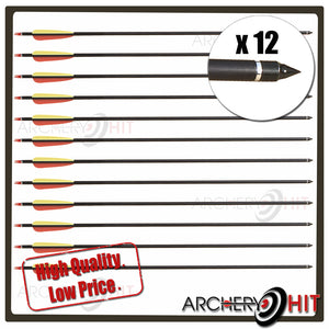 12 pack of alloy arrows with turning nocks