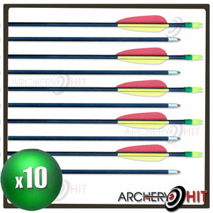 Fibreglass Arrows in a ten pack from Archery Hit