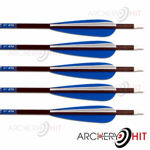 5 carbon arrows included in Vulture Compound Bow package from Archery Hit